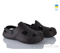 Кроксы Golden Lion